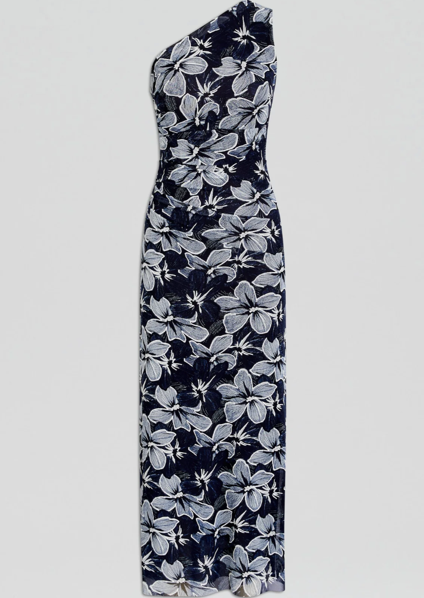 Scanlan and Theodore Italian Floral Mesh Dress Size 8