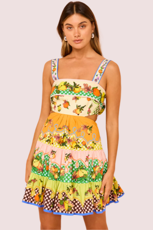 Alemais Lemonis Cut Out Mini Dress Size 10