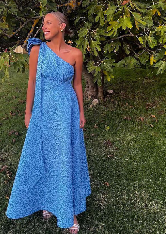 Rachel Gilbert Emiliano Gown Size 8/10