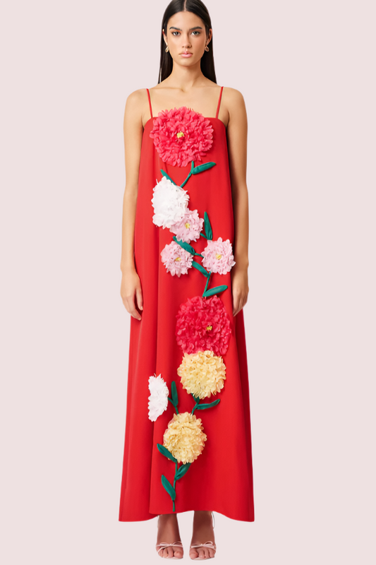 Elliatt Buttercup Embroided Dress Red Size 10,12