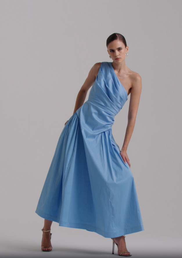 Rachel Gilbert Banksia Dress Blue Size 10