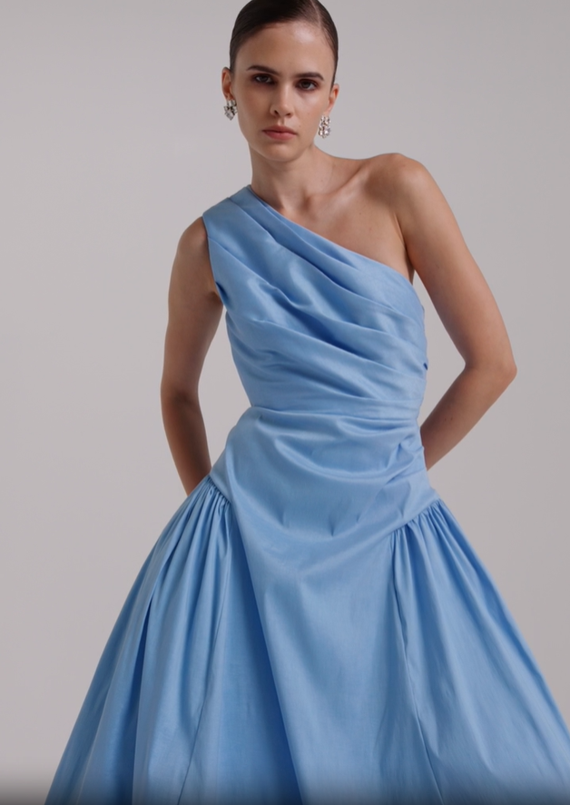 Rachel Gilbert Banksia Dress Blue Size 10