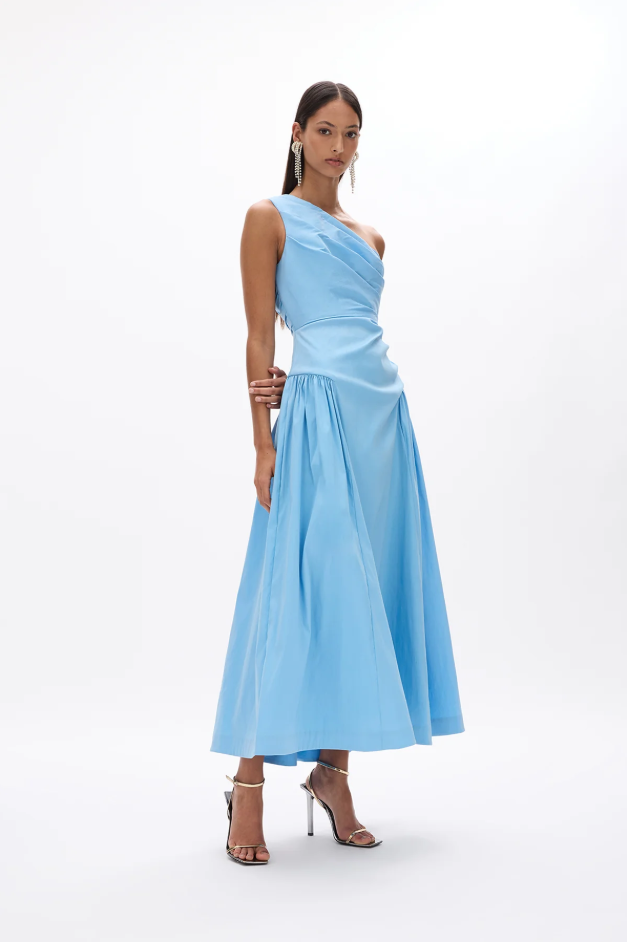 Rachel Gilbert Banksia Dress Blue Size 10