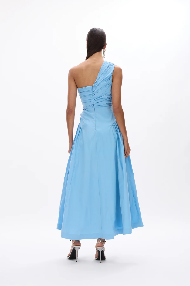 Rachel Gilbert Banksia Dress Blue Size 10