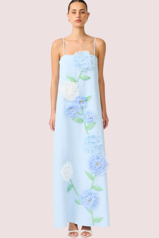 buttercup blue dress Elliatt Maxi Washed chiffon Jersey lining