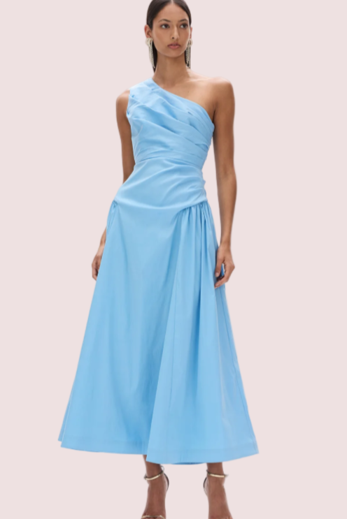 Rachel Gilbert Banksia Dress Blue Size 10