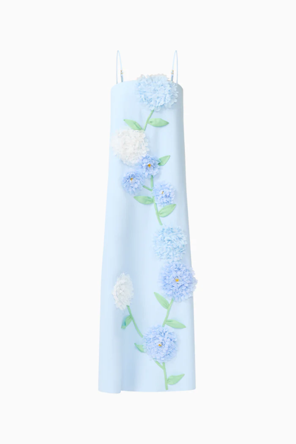 Elliatt Buttercup Maxi Dress - Blue Size 8