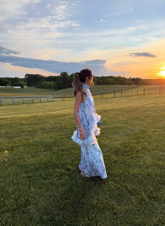 Elliatt Tulsia Floral Cape Maxi Dress Light Blue Size 8