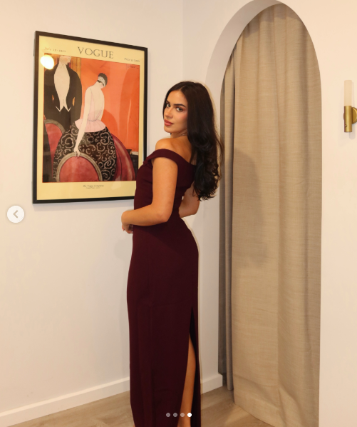 Arcina Ori Ellery Plum Size 8,10