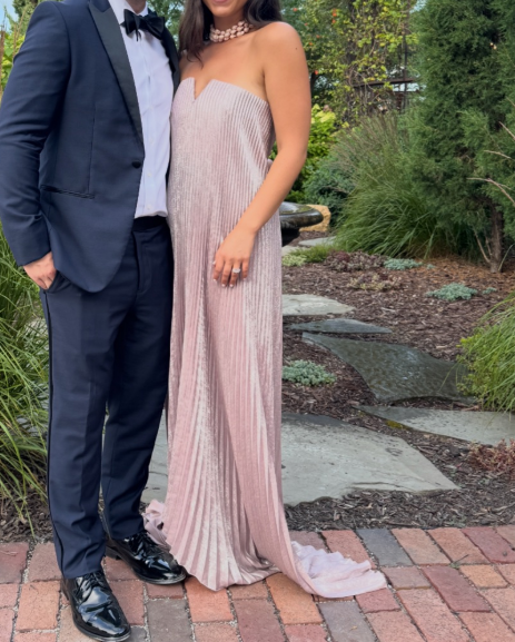 L'idee Black Tie Gown Dusty Shimmer Size 10